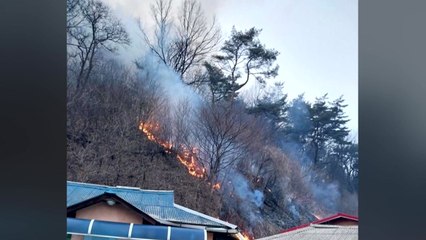 청주 낭성면 야산에 화재...1시간 20분 만에 불길 잡아 / YTN
