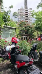 LAGU SUNDA BAGJA JEUNG CINTA