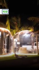 Discover the Unique Charm of This Amazing Homestay! ✨ - thumbnail