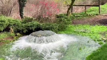Puits de Bontemps