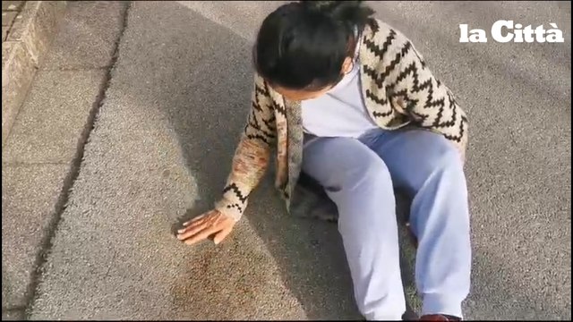 Sarno, la mamma del ragazzo investito dal pirata: «Giustizia per il mio Marcello»