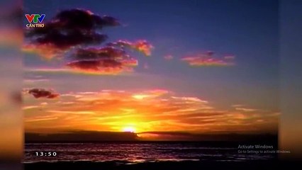 แวดวงละครเวียดนาม (Cải lương) - Dưới Tán Cây Bàng Vuông (ช่อง VTV Cần Thơ) (2014) (1)