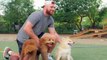 Travis Kelce Caught Playing With Taylor Swift Pets Ahead of Singapore Concert