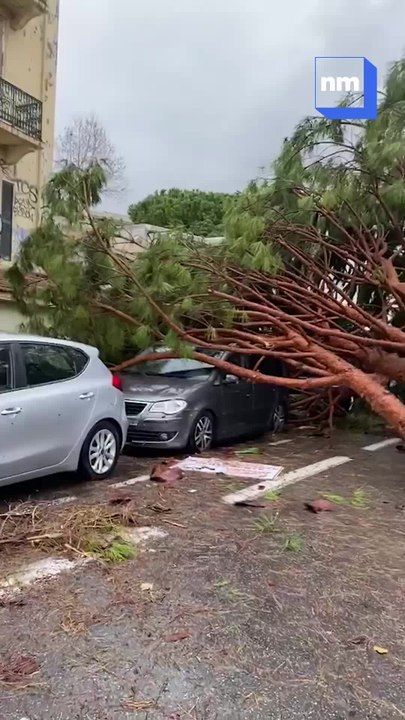 Une "mini-tornade" s’est abattue sur le Vieil Antibes