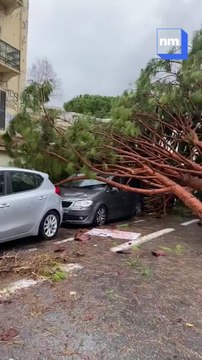 Une mini-tornade s’est abattue sur le Vieil Antibes