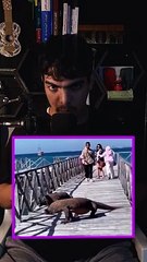 When you enter a battle with these creatures..!!