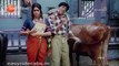 Hyoch Navra Pahije | Hyoch Navra Pahije Marathi Movie | 1080p HQ print dts | Dada Kondke