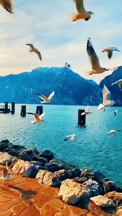 SHAAYRAANA___MENTION_IN_STORY___SAVE__FOLLOW_ME_@thoughts.cam_action_FOR_MORE__LIKE___SAVE___SHARE___COMMENT__..._#reels_#reelsinstagram_#reelsvideo_#