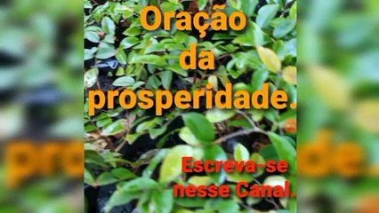Oração da prosperidade. Deus é Fiel.