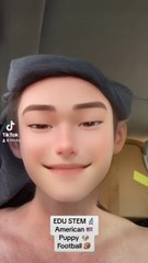 EDU STEM American Puppy Football !!! Everyone lives puppies more than pigballs!