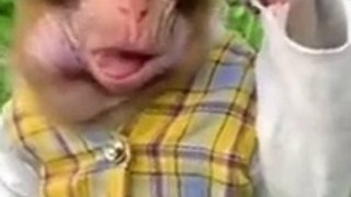 Best Funny Animal Videos of the year (2023), funniest animals ever. relax with cute animals video