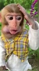 Best Funny Animal Videos of the year (2023), funniest animals ever. relax with cute animals video