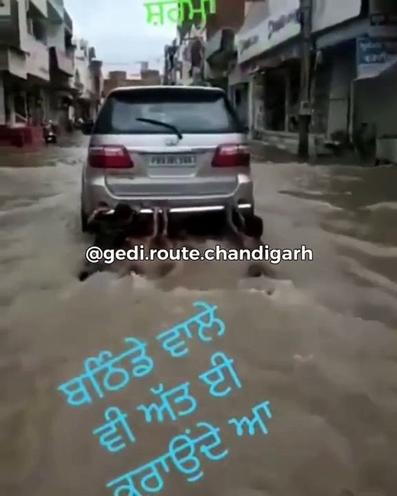Best Funny