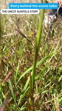 Kamshet Paragliding near pune mumbai