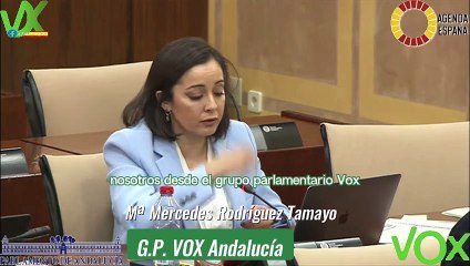 Mª Mercedes Rodriguez Tamayo. Comisión de Inclusión Social. 01.03.2024