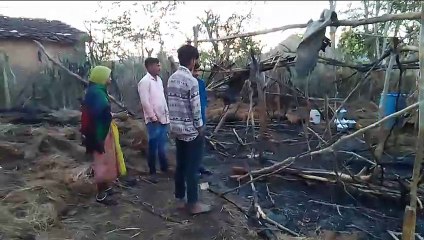 vdoबाड़े में आग से 12 मवेशी झुलसे, 3 ट्रैक्टर चारा खाक