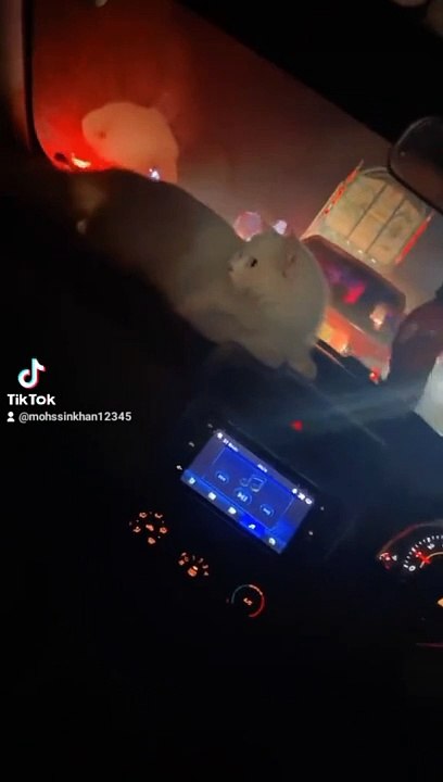 Night drives ❤️