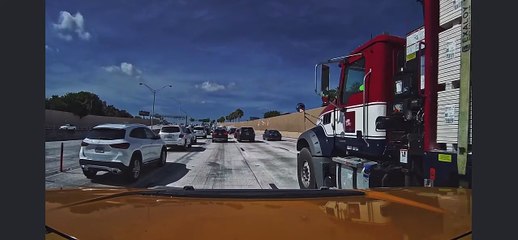 Woman Rescues Baby Opossum From Busy Freeway
