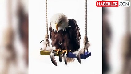 Sosyal medyada birbirlerine girdiler! Beşiktaş, "Kartal" paylaşımını silmeyen Galatasaray'ı fena bombaladı