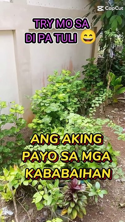 ang payo