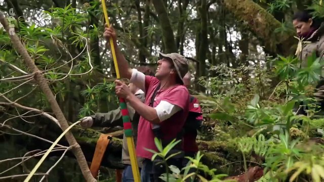 Canaries, les îles-volcans _ La Gomera et El Hierro _ ARTE Family