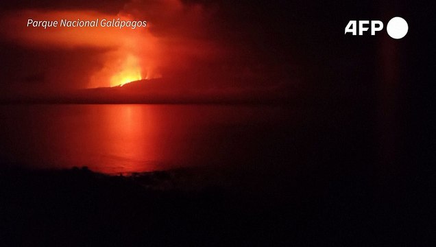 La Cumbre entra em erupção em Galápagos