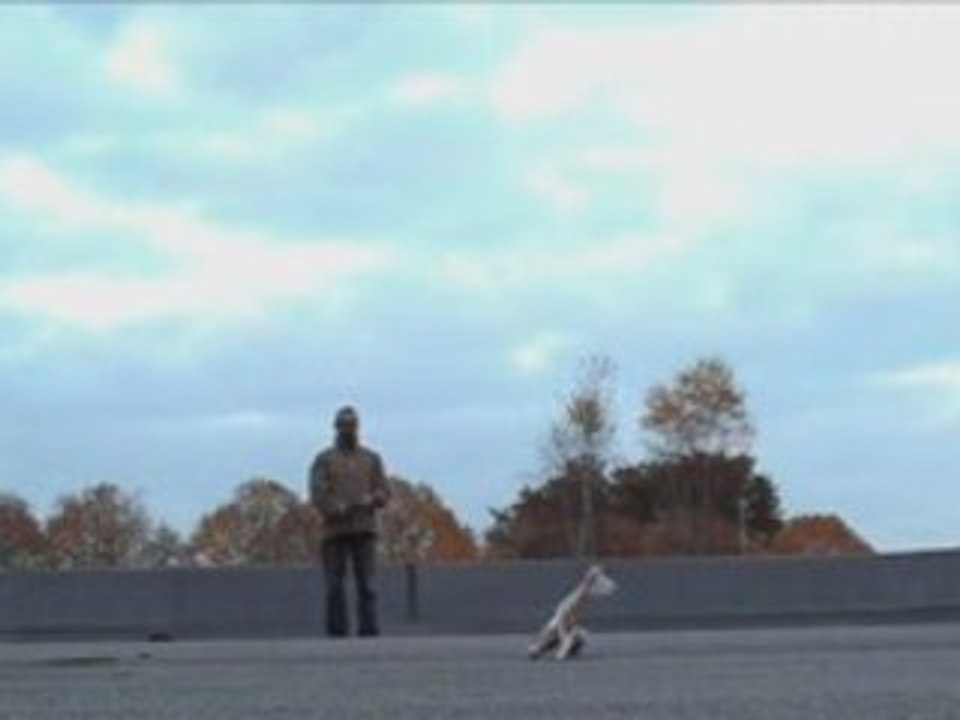 X-twin Démo & Stunt Max #2