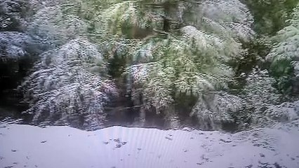 الأطلس المتوسط بثلوجه و اشجاره.. المغرب مصر تونس الجزائر السعودية العراق السودان italy Canada France Angleterre india spain Meknès