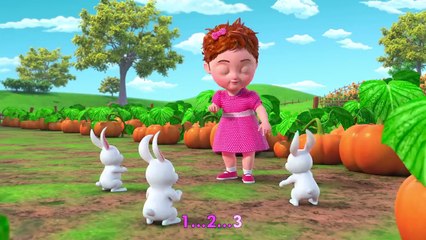 Numbering Song  Five Duckies More Baby.  Nursery Rhymes