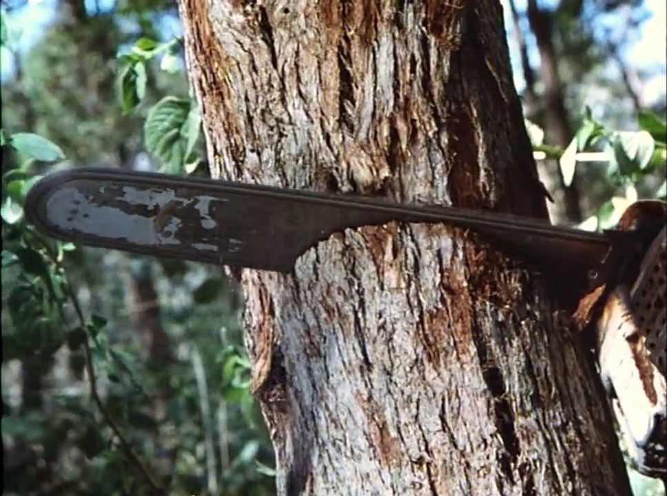 Watch Blinky Bill (1992) Full Movie For Free