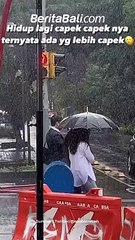 Mister, Berat Sekali Rasanya? Cerita Dulu Yuk! 🤔