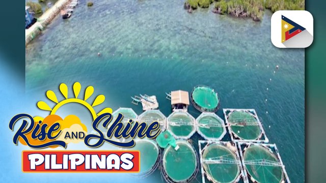 Central Bangus Hatchery ng BFAR-7 sa Calape, Bohol, nanguna sa rehiyon sa pagpapalago ng pangingisda