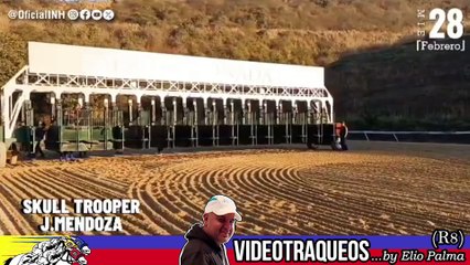 VideoTraqueos (3ra parte) | Carrera programada 03/03/24 La Rinconada INH | R8 | DosierHipico#70