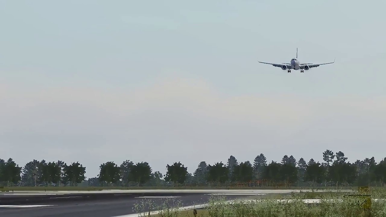 Zibo B738 Landing Clip