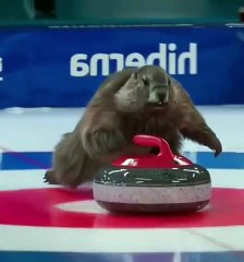 Can’t stop watching this