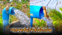 นี่คือ...จอมยุทธ์นักปาด คนพากย์บอกว่างั้น งานนี้ทำเอาโซเชียลถึงกับฮาลั่น