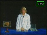 La Historia del Cerebro: El Poder de la Mente - Documental (2000) - Español Latino - Episodio 1