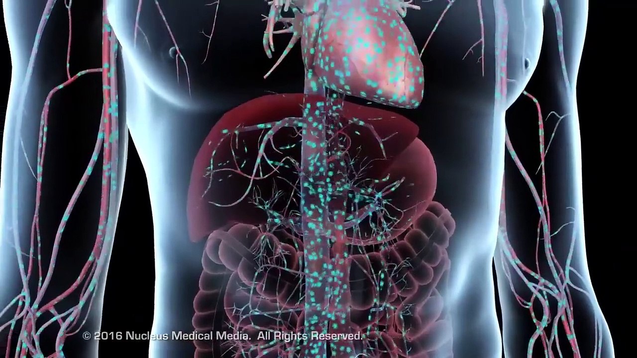 How Medications Get Absorbed By Your Body