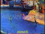 Hong Kong city, summer 1987