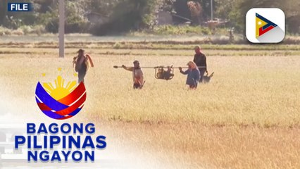 Télécharger la video: DSWD, naglaan ng P1.4-B na pondo para sa mga proyekto upang maibasan ang epekto ng #ElNiñoPH