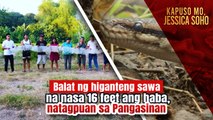 Balat ng higanteng sawa na nasa 16 feet ang haba, natagpuan sa Pangasinan | Kapuso Mo, Jessica Soho