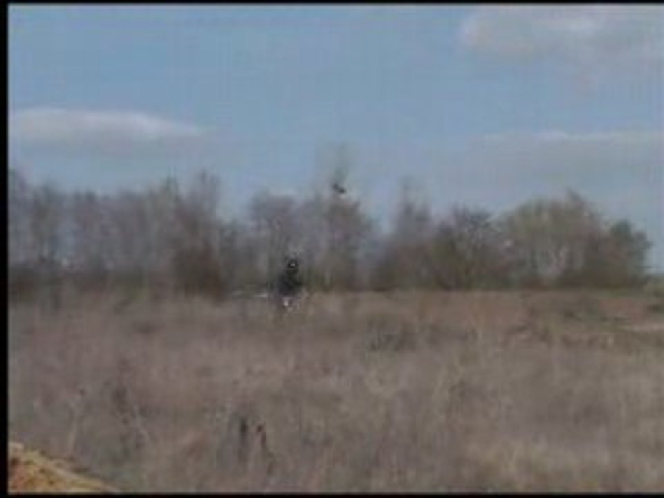 quad sym quadlander 300