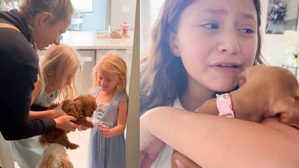 Heartwarming Puppy Surprises | Best Family Reactions Ever!