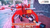 MASCHIO GASPARDO GOLIA PRO T