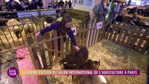 La 60ème édition du Salon International de l’Agriculture à Paris