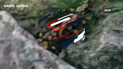 Yer Batman: Nadir görülen Anadolu semenderi kayıtlara böyle geçti