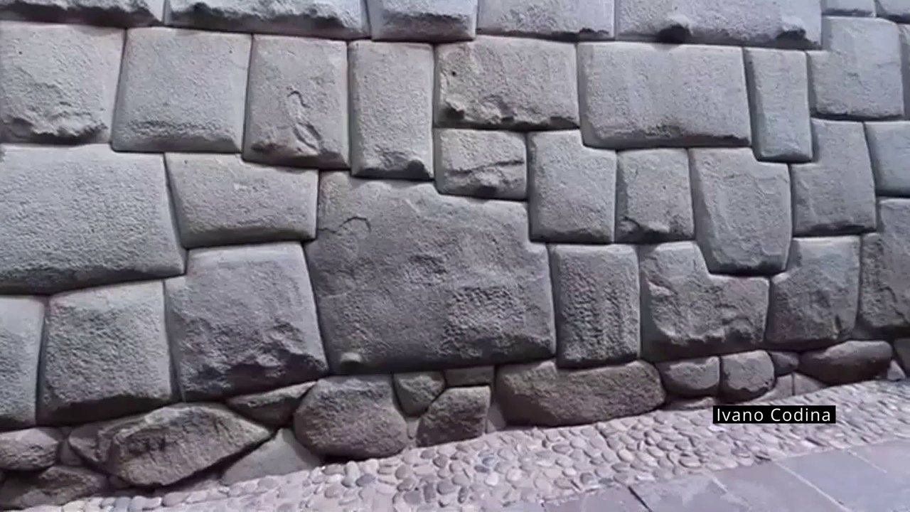 La pianta che scioglie la pietra
