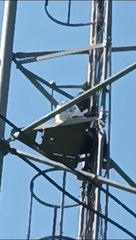 अतिक्रमण नहीं हटाया तो टावर पर चढ़े दो युवक, दी आत्मदाह की चेतावनी