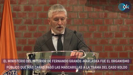 Hacienda señala a Marlaska: pagó las mascarillas de la ‘trama Koldo’ con un sobreprecio del 30%