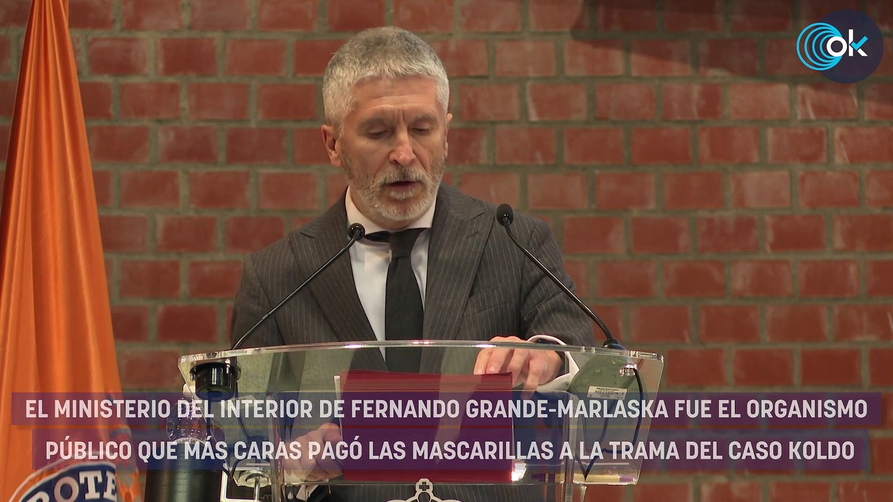 Hacienda señala a Marlaska: pagó las mascarillas de la ‘trama Koldo’ con un sobreprecio del 30%